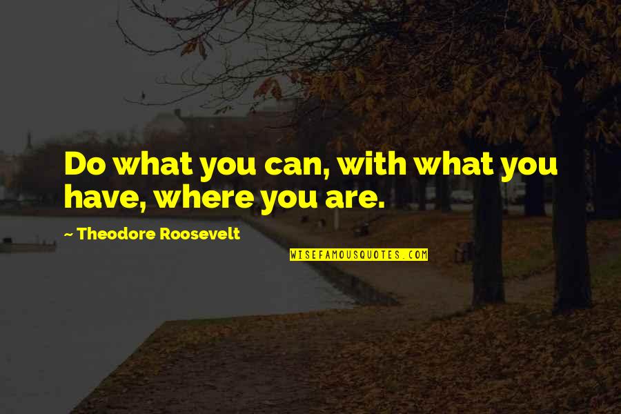 Super Sako Quotes By Theodore Roosevelt: Do what you can, with what you have,