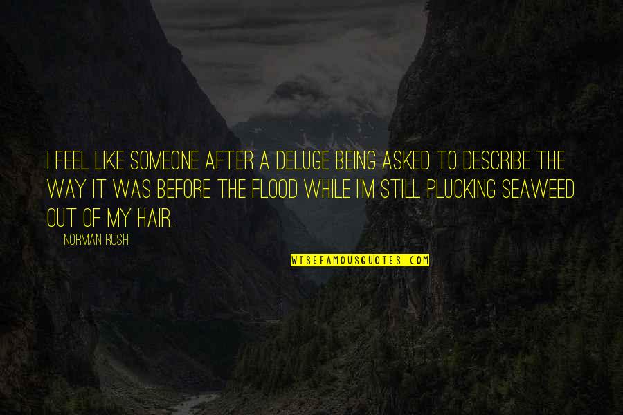Super Sarcastic Quotes By Norman Rush: I feel like someone after a deluge being