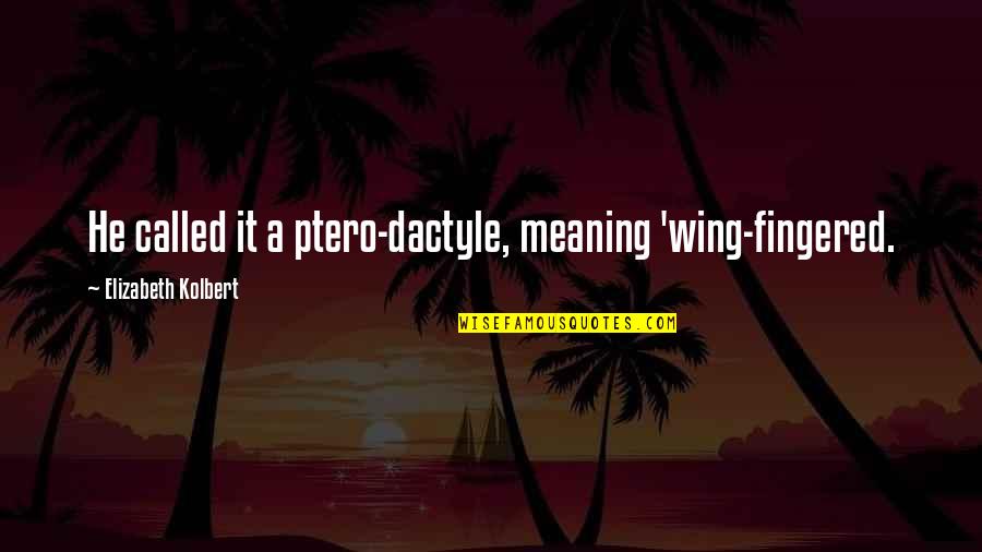 Super Strict Cancellation Quotes By Elizabeth Kolbert: He called it a ptero-dactyle, meaning 'wing-fingered.