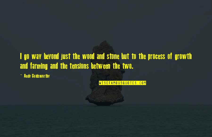 Super Thin Ribbons Quotes By Andy Goldsworthy: I go way beyond just the wood and Super Thin Ribbons Quotes By Andy Goldsworthy: I go way beyond just the wood and