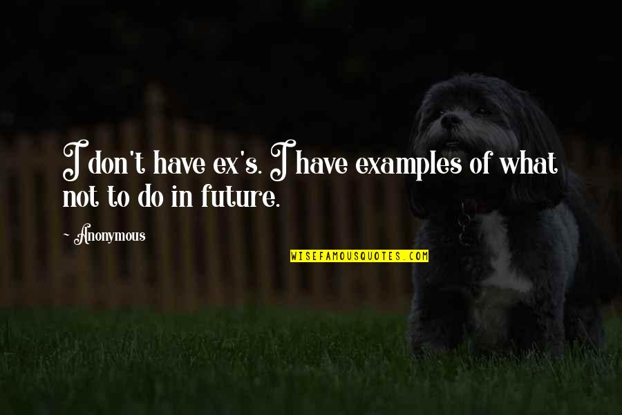 Super Trooper Quotes By Anonymous: I don't have ex's. I have examples of