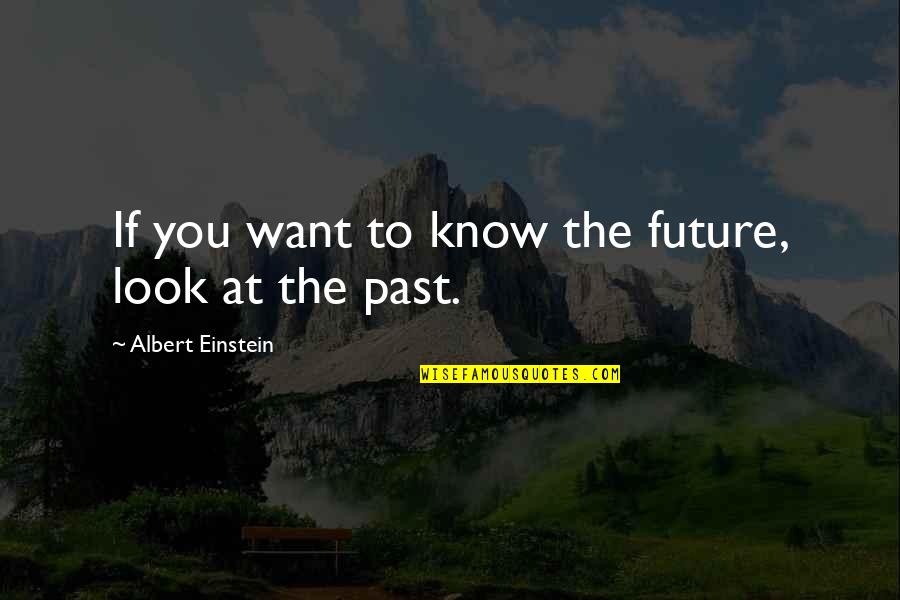 Super Volcanoes Quotes By Albert Einstein: If you want to know the future, look