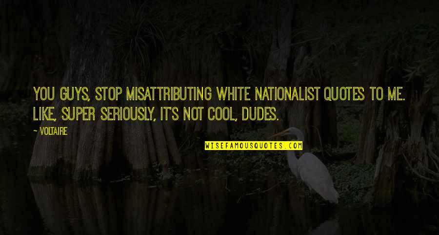 Super You Quotes By Voltaire: You guys, stop misattributing white nationalist quotes to