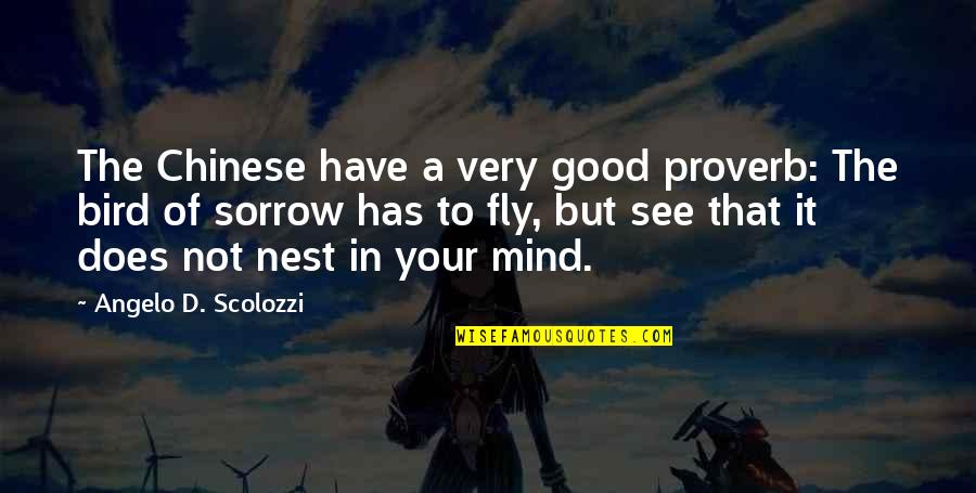 Superbly Quotes By Angelo D. Scolozzi: The Chinese have a very good proverb: The Superbly Quotes By Angelo D. Scolozzi: The Chinese have a very good proverb: The