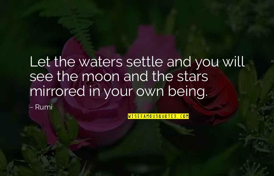 Supercalifragilisticexpialidocious Mary Quotes By Rumi: Let the waters settle and you will see