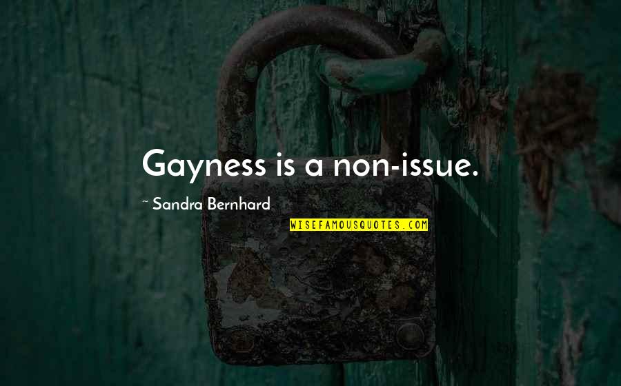 Supercilium Usa Quotes By Sandra Bernhard: Gayness is a non-issue.