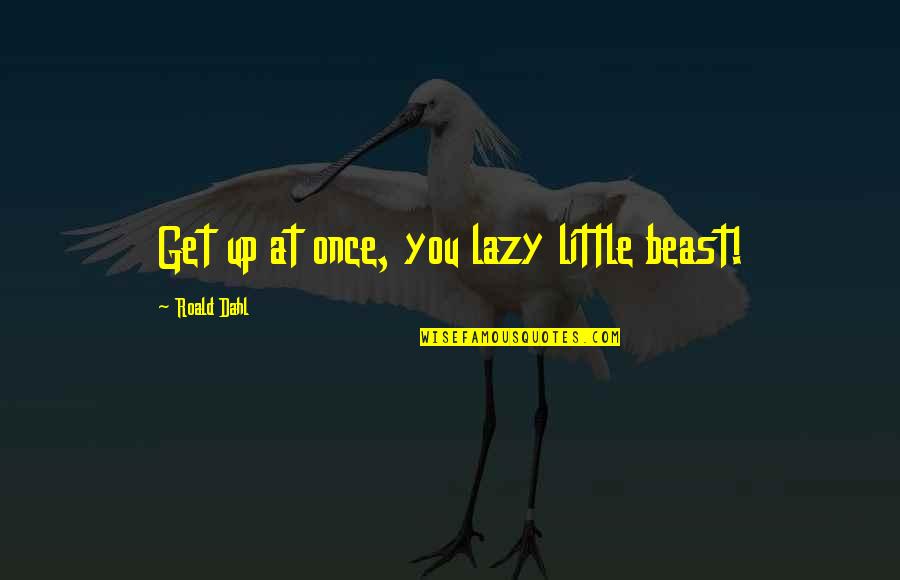 Superclassico Quotes By Roald Dahl: Get up at once, you lazy little beast! Superclassico Quotes By Roald Dahl: Get up at once, you lazy little beast!
