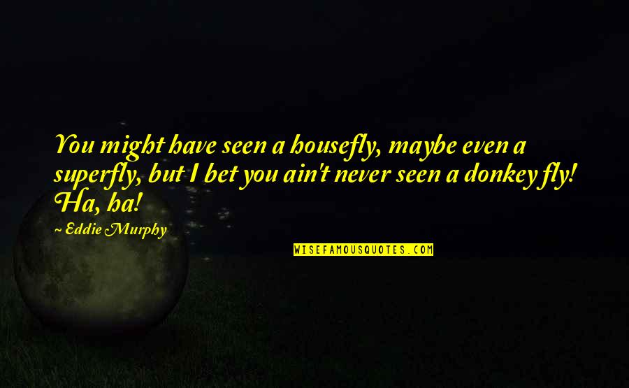 Superfly Quotes By Eddie Murphy: You might have seen a housefly, maybe even