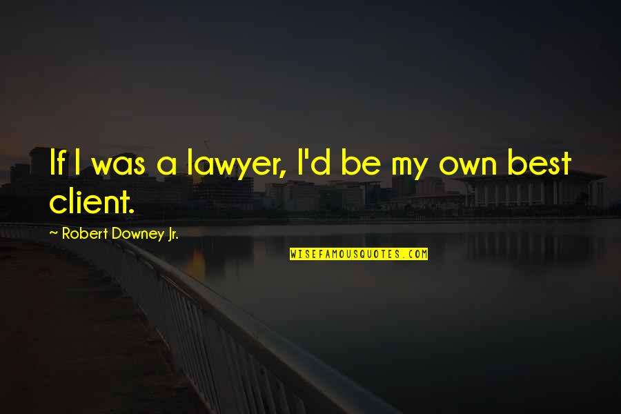 Superintendence Antonyms Quotes By Robert Downey Jr.: If I was a lawyer, I'd be my Superintendence Antonyms Quotes By Robert Downey Jr.: If I was a lawyer, I'd be my
