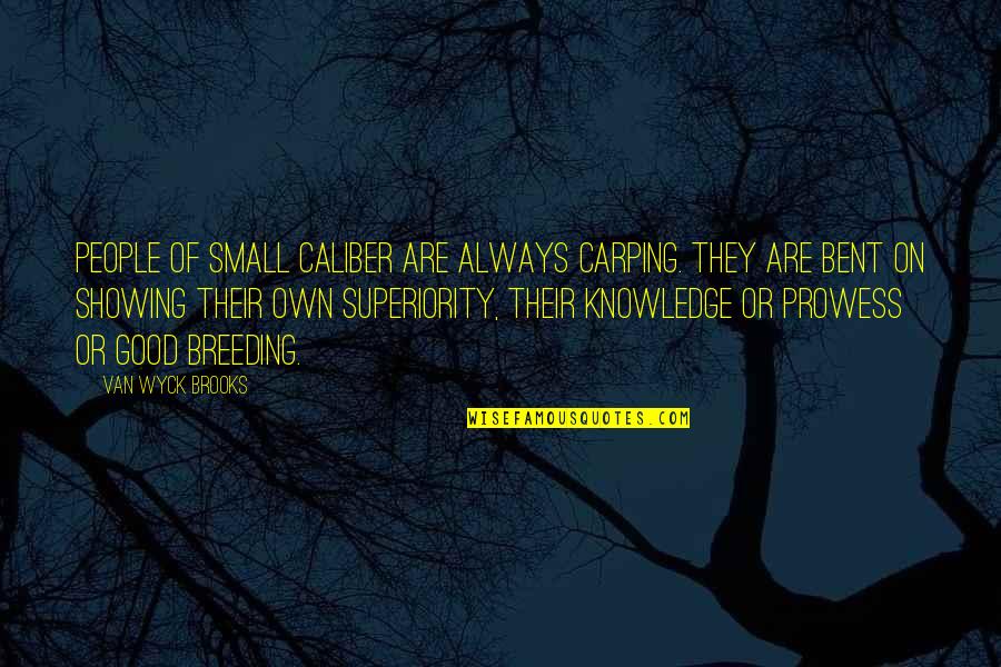 Superiority Quotes By Van Wyck Brooks: People of small caliber are always carping. They