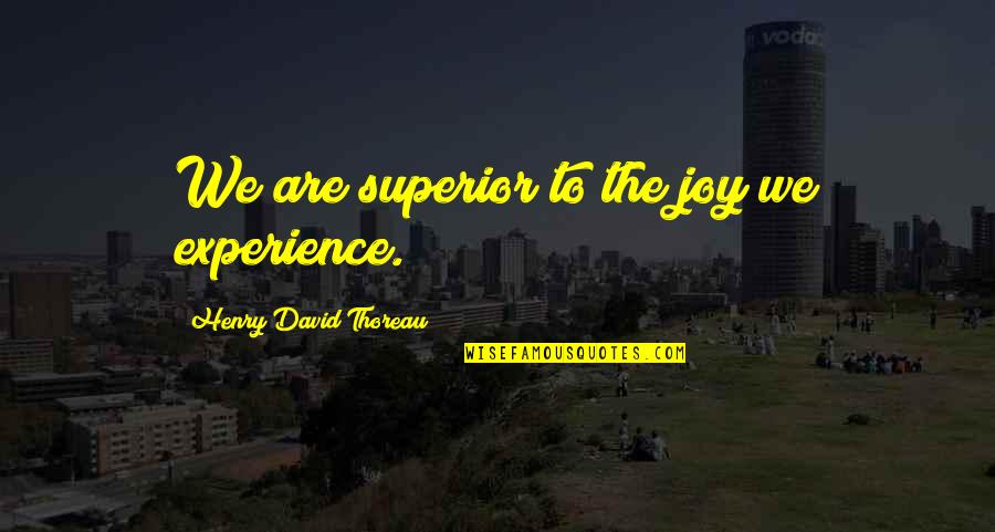 Superiors Quotes By Henry David Thoreau: We are superior to the joy we experience.