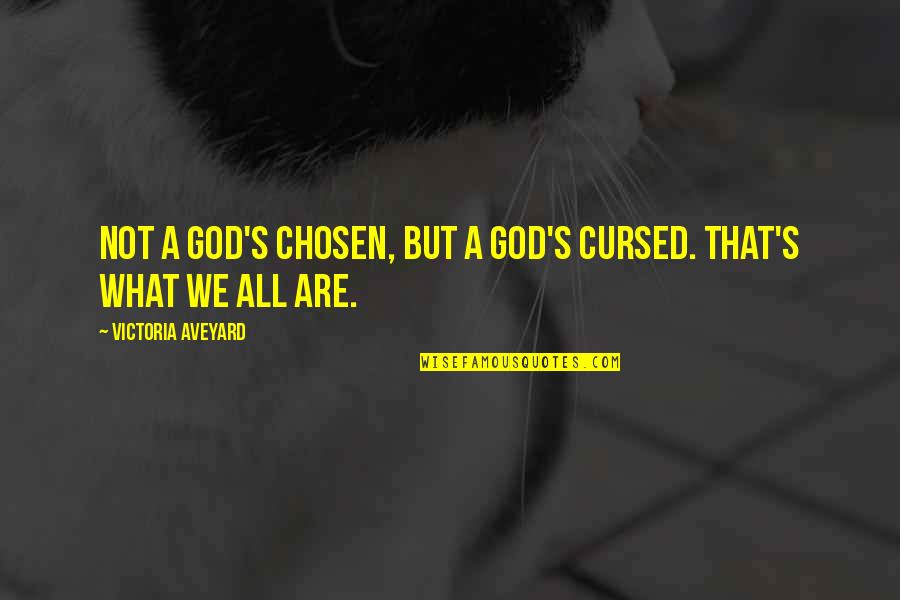 Superman Clash Quotes By Victoria Aveyard: Not a god's chosen, but a god's cursed. Superman Clash Quotes By Victoria Aveyard: Not a god's chosen, but a god's cursed.