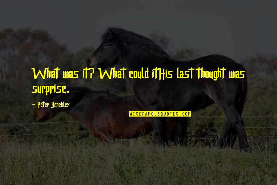 Supernatural Tv Series Quotes By Peter Benchley: What was it? What could itHis last thought Supernatural Tv Series Quotes By Peter Benchley: What was it? What could itHis last thought