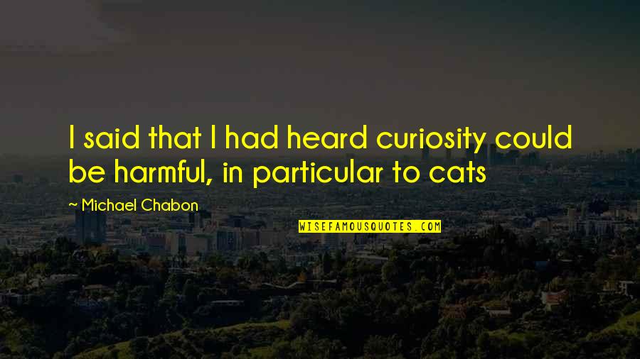 Superpowers Wiki Quotes By Michael Chabon: I said that I had heard curiosity could