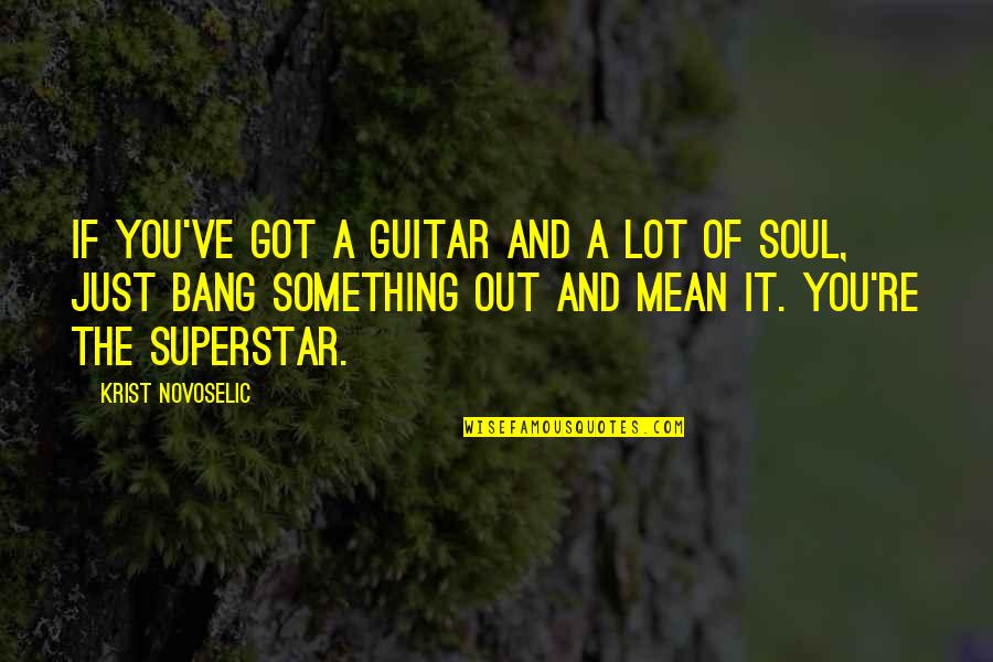 Superstar Quotes By Krist Novoselic: If you've got a guitar and a lot