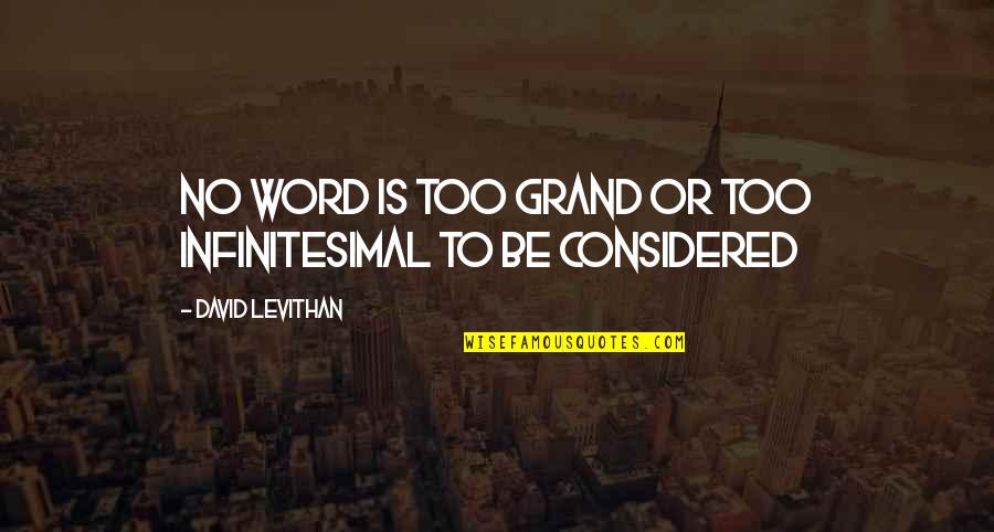 Supieron Conjugation Quotes By David Levithan: No word is too grand or too infinitesimal Supieron Conjugation Quotes By David Levithan: No word is too grand or too infinitesimal