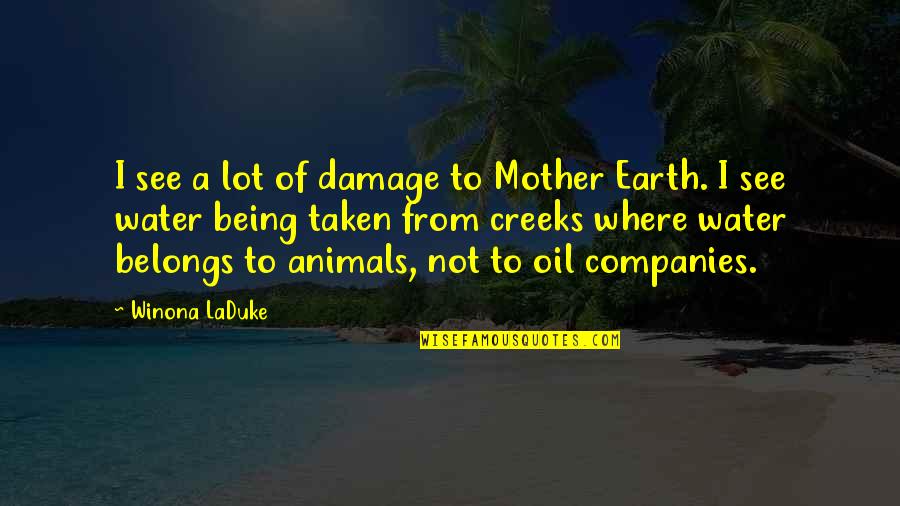 Supina Quotes By Winona LaDuke: I see a lot of damage to Mother