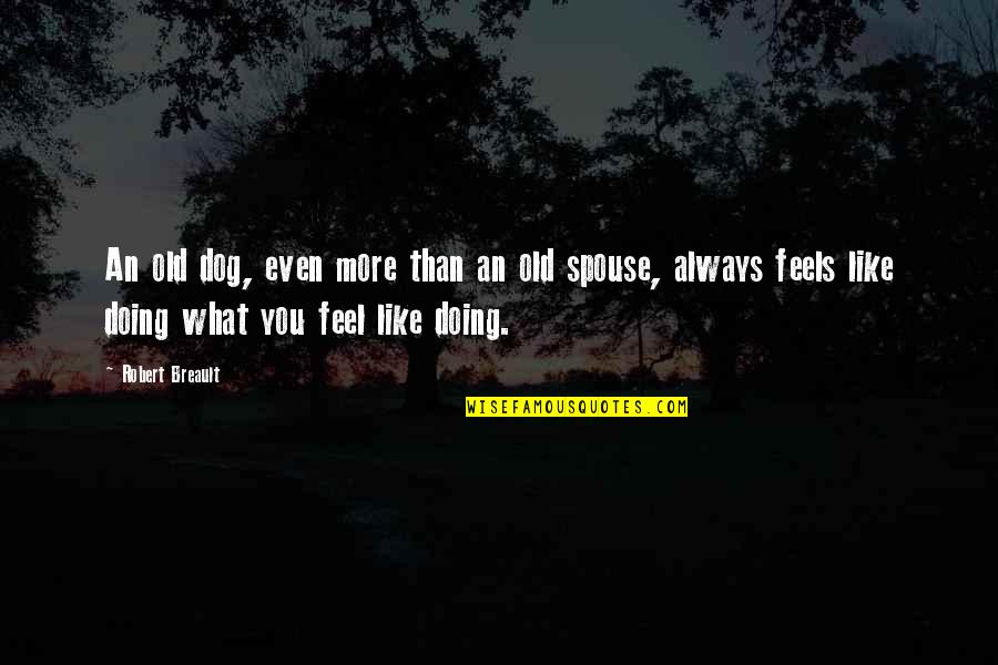 Supomuni Quotes By Robert Breault: An old dog, even more than an old