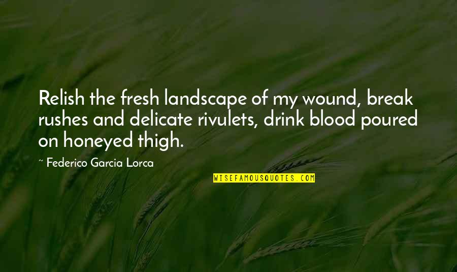 Supostos Temas Quotes By Federico Garcia Lorca: Relish the fresh landscape of my wound, break