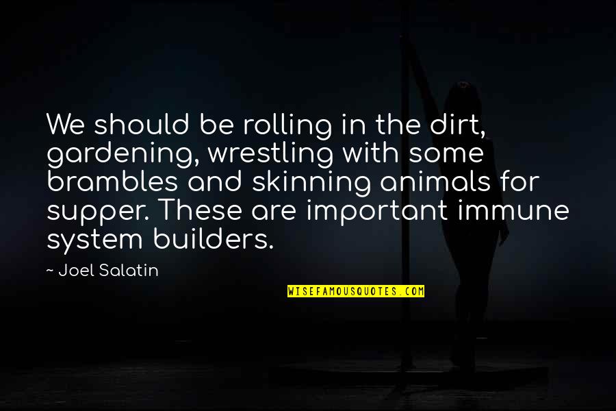 Supper's Quotes By Joel Salatin: We should be rolling in the dirt, gardening,