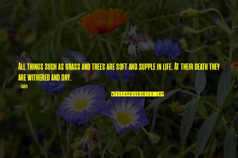 Supple Quotes By Laozi: All things such as grass and trees are