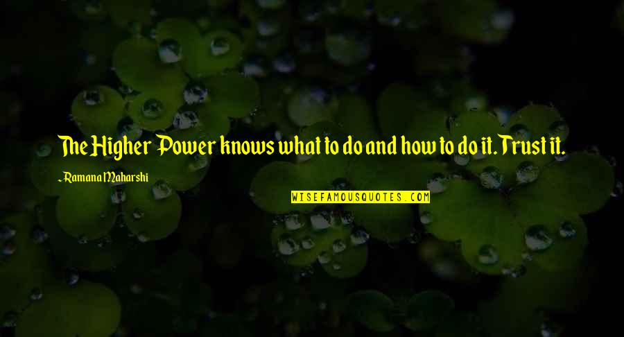 Support Dog Quotes By Ramana Maharshi: The Higher Power knows what to do and Support Dog Quotes By Ramana Maharshi: The Higher Power knows what to do and