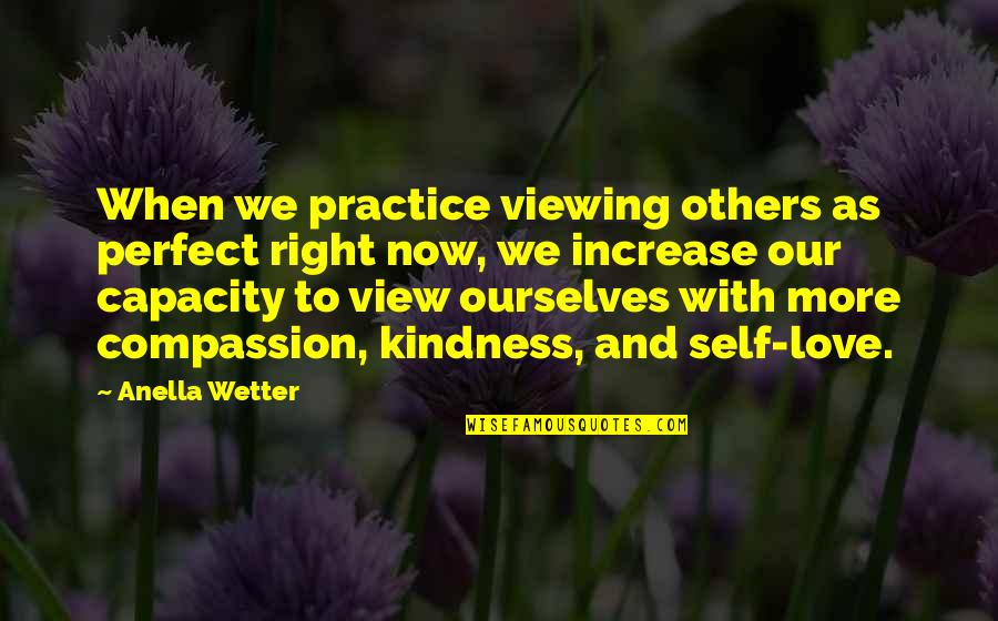 Support For Caregivers Quotes By Anella Wetter: When we practice viewing others as perfect right