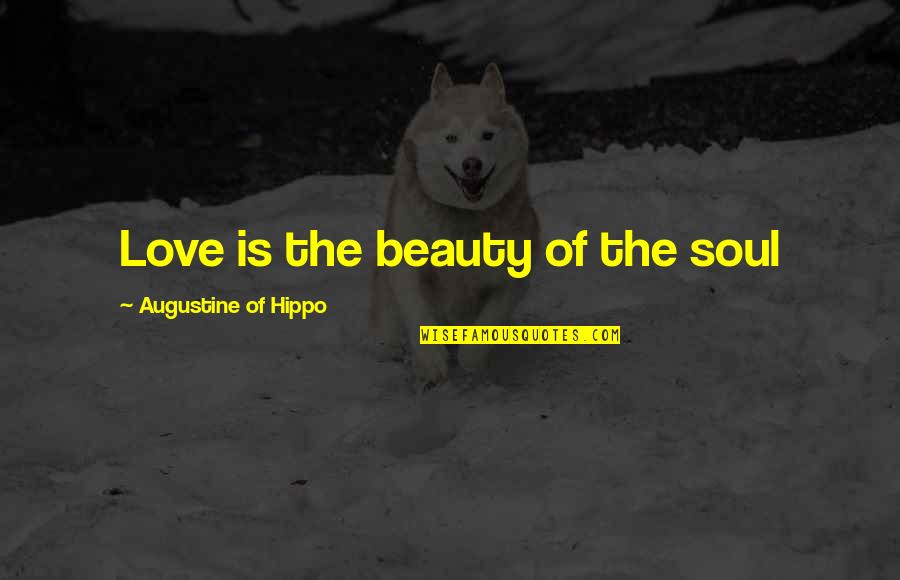 Support For Caregivers Quotes By Augustine Of Hippo: Love is the beauty of the soul