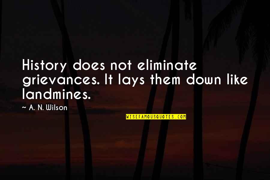 Supporting Loved Ones Quotes By A. N. Wilson: History does not eliminate grievances. It lays them
