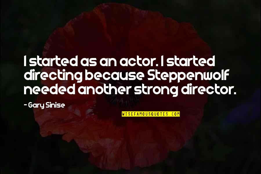 Supportive Workmates Quotes By Gary Sinise: I started as an actor. I started directing
