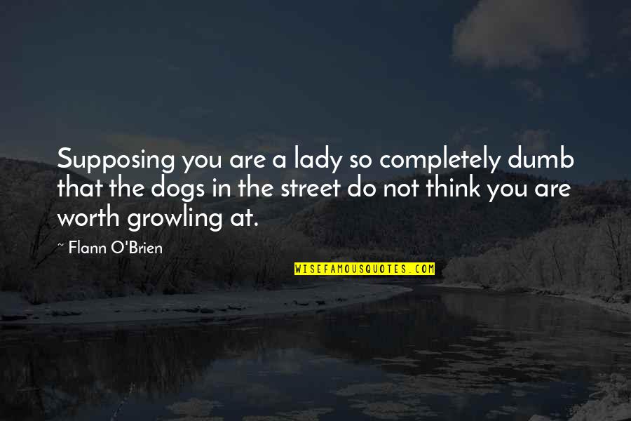 Supposing Quotes By Flann O'Brien: Supposing you are a lady so completely dumb