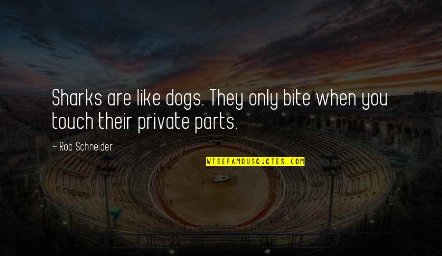 Suppressor For Sale Quotes By Rob Schneider: Sharks are like dogs. They only bite when