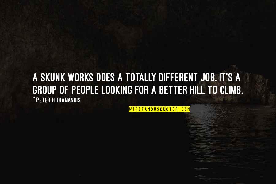 Supremacists Organizations Quotes By Peter H. Diamandis: A skunk works does a totally different job. Supremacists Organizations Quotes By Peter H. Diamandis: A skunk works does a totally different job.