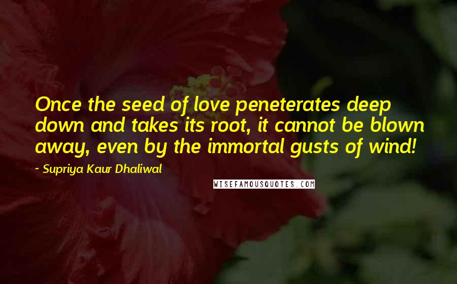 Supriya Kaur Dhaliwal quotes: Once the seed of love peneterates deep down and takes its root, it cannot be blown away, even by the immortal gusts of wind!