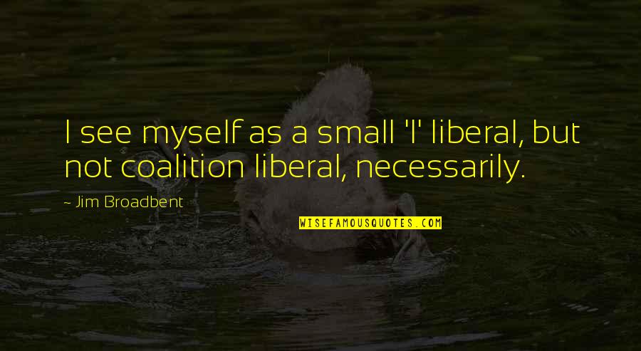 Surah Rehman Quotes By Jim Broadbent: I see myself as a small 'l' liberal,