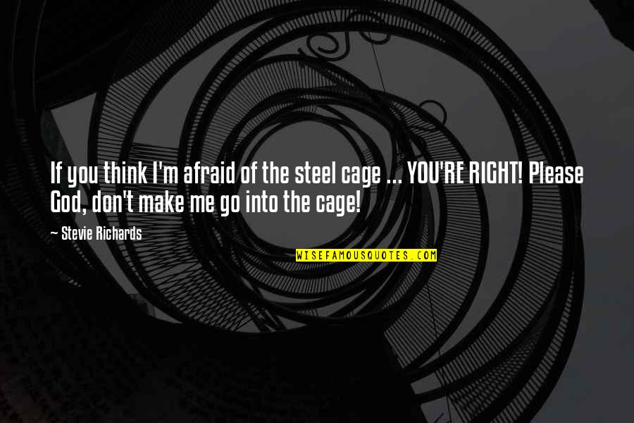 Surbhi Bansal Quotes By Stevie Richards: If you think I'm afraid of the steel Surbhi Bansal Quotes By Stevie Richards: If you think I'm afraid of the steel