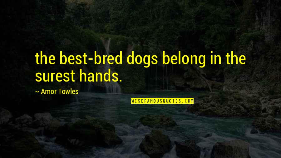 Surest Quotes By Amor Towles: the best-bred dogs belong in the surest hands. Surest Quotes By Amor Towles: the best-bred dogs belong in the surest hands.