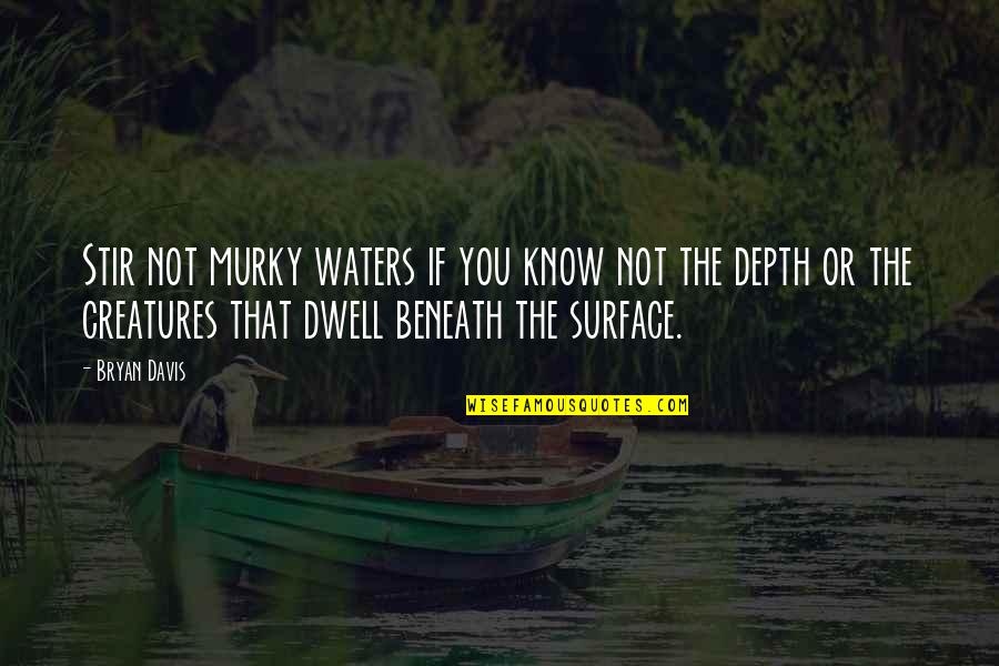 Surface And Depth Quotes By Bryan Davis: Stir not murky waters if you know not