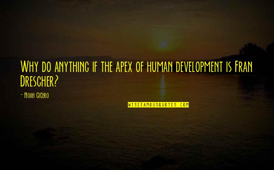 Surficial Soils Quotes By Noah Cicero: Why do anything if the apex of human