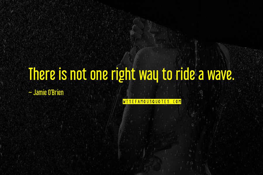 Surfing's Quotes By Jamie O'Brien: There is not one right way to ride
