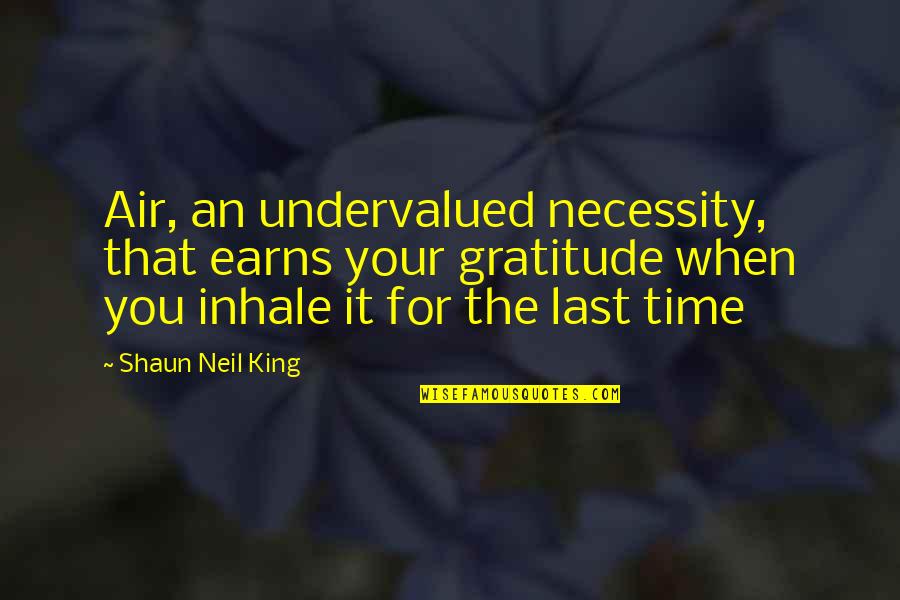 Suri Quotes By Shaun Neil King: Air, an undervalued necessity, that earns your gratitude