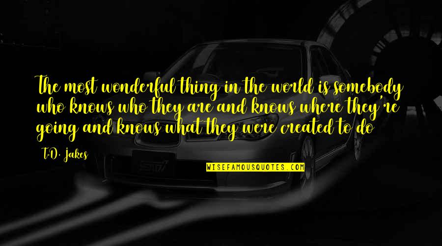 Surjan Jawa Quotes By T.D. Jakes: The most wonderful thing in the world is