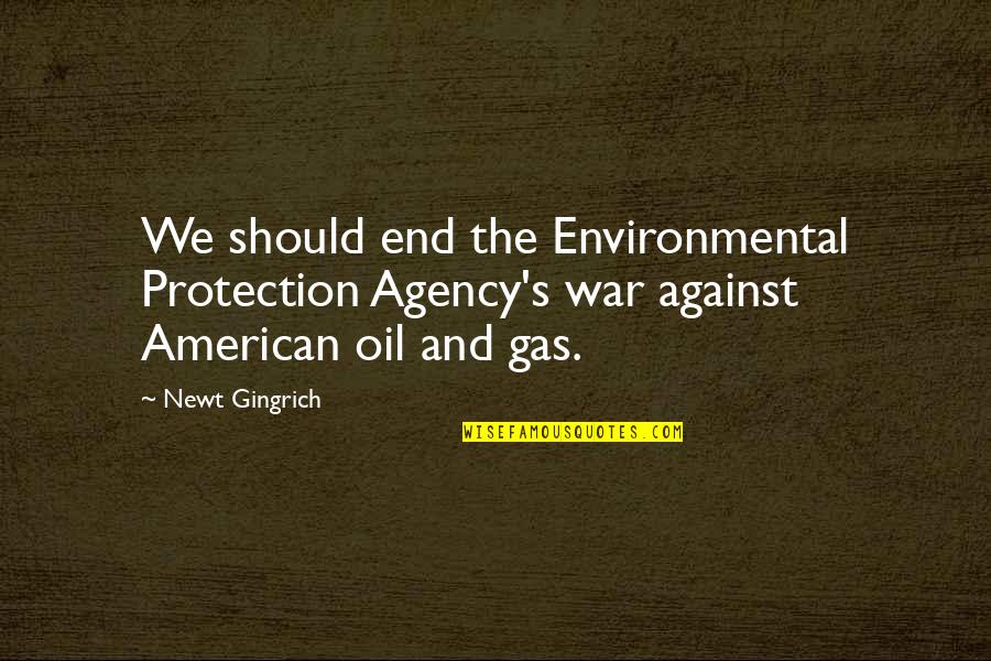 Surmountability Quotes By Newt Gingrich: We should end the Environmental Protection Agency's war