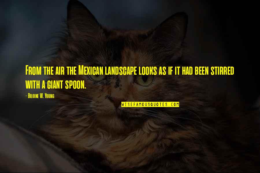 Surmounted Most Nearly Means Quotes By Biloine W. Young: From the air the Mexican landscape looks as Surmounted Most Nearly Means Quotes By Biloine W. Young: From the air the Mexican landscape looks as