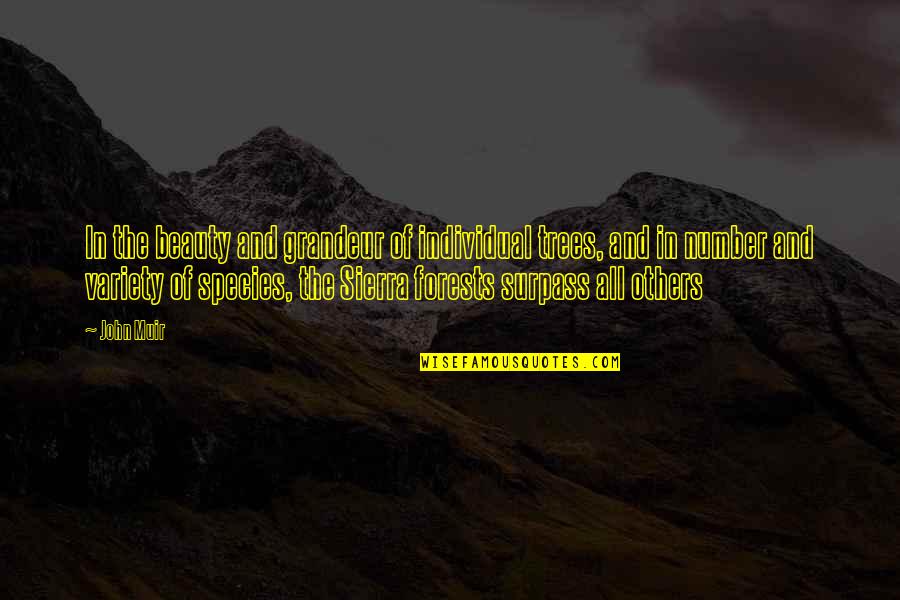 Surpass Quotes By John Muir: In the beauty and grandeur of individual trees, Surpass Quotes By John Muir: In the beauty and grandeur of individual trees,