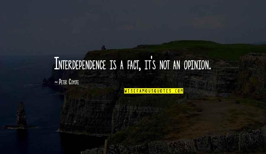Surpassed Synonym Quotes By Peter Coyote: Interdependence is a fact, it's not an opinion.