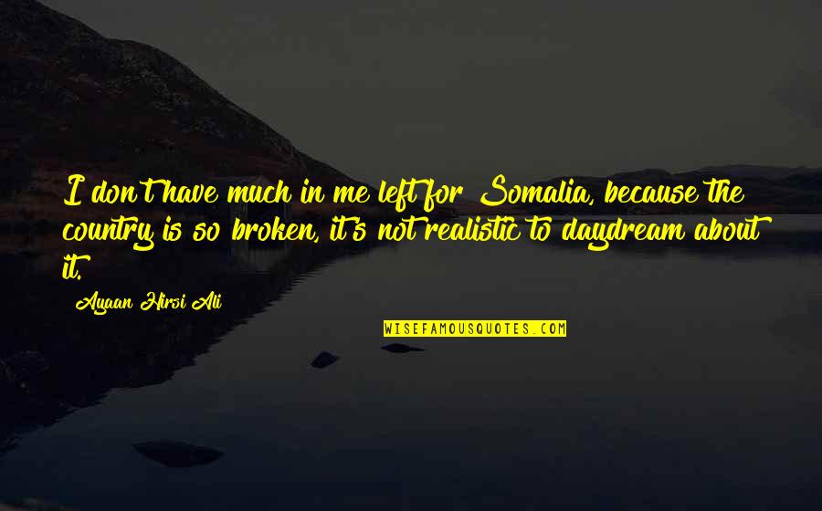 Surplusage Quotes By Ayaan Hirsi Ali: I don't have much in me left for
