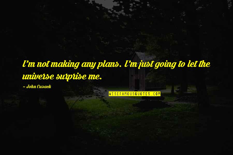 Surprise Me Quotes By John Cusack: I'm not making any plans. I'm just going