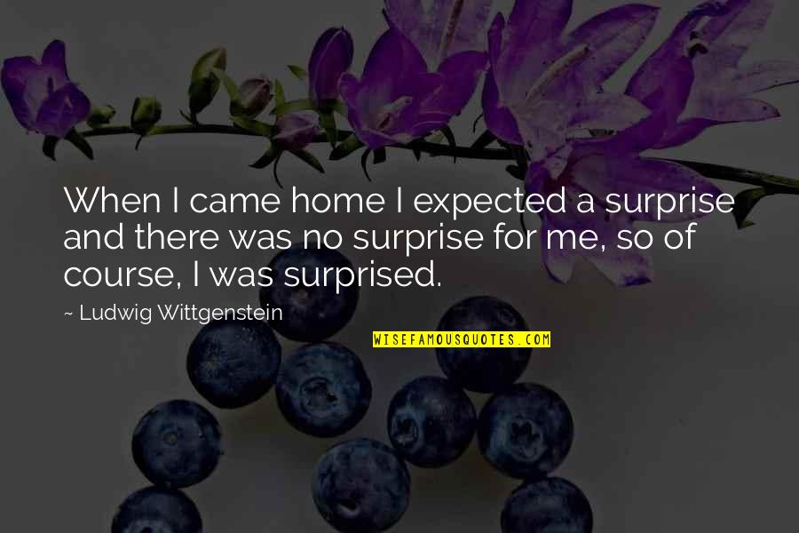 Surprise Me Quotes By Ludwig Wittgenstein: When I came home I expected a surprise