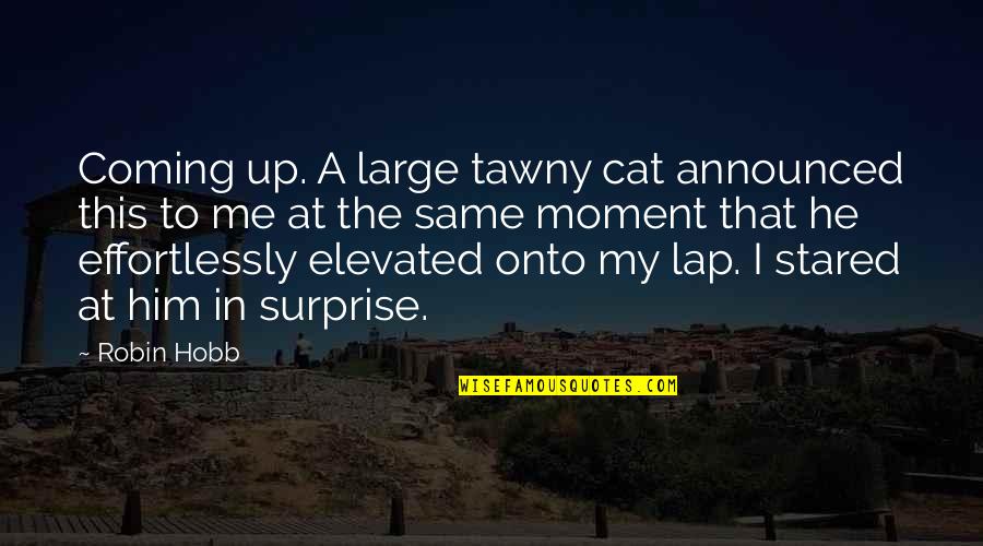 Surprise Me Quotes By Robin Hobb: Coming up. A large tawny cat announced this